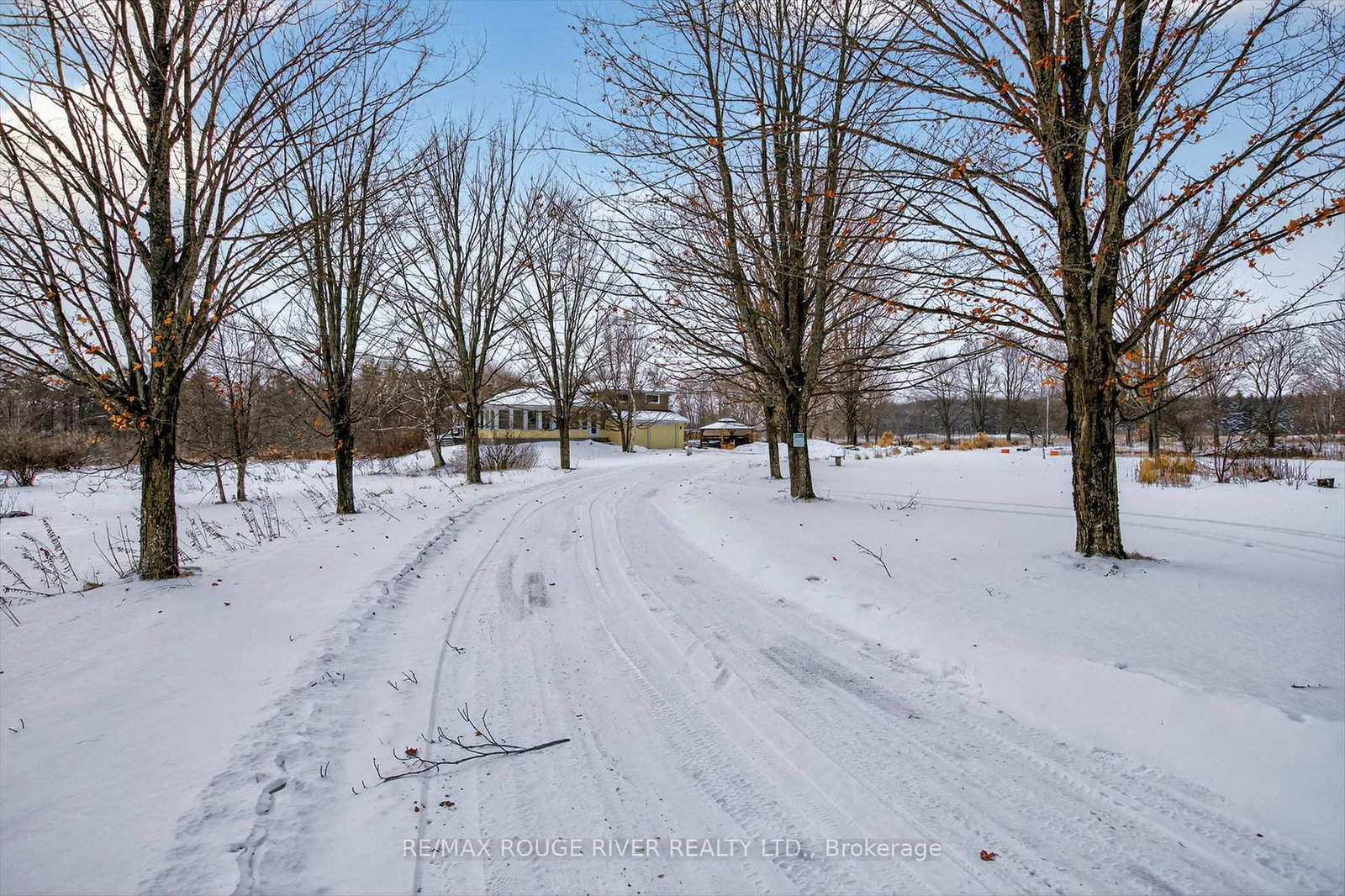 2401-15th-line-selwyn-ontario-x12696162