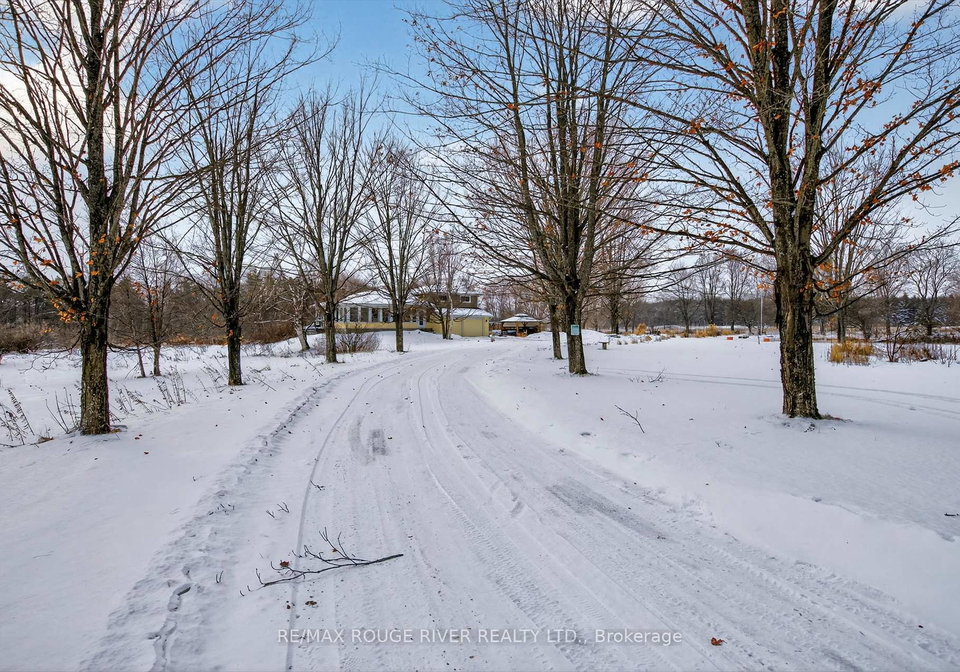 2401-15th-line-selwyn-ontario-x12696162