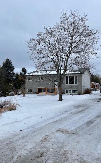 32-liberty-lane-kawartha-lakes-ontario-x12696922
