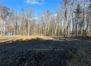 1757-4th-concession-road-norfolk-ontario-x12713356
