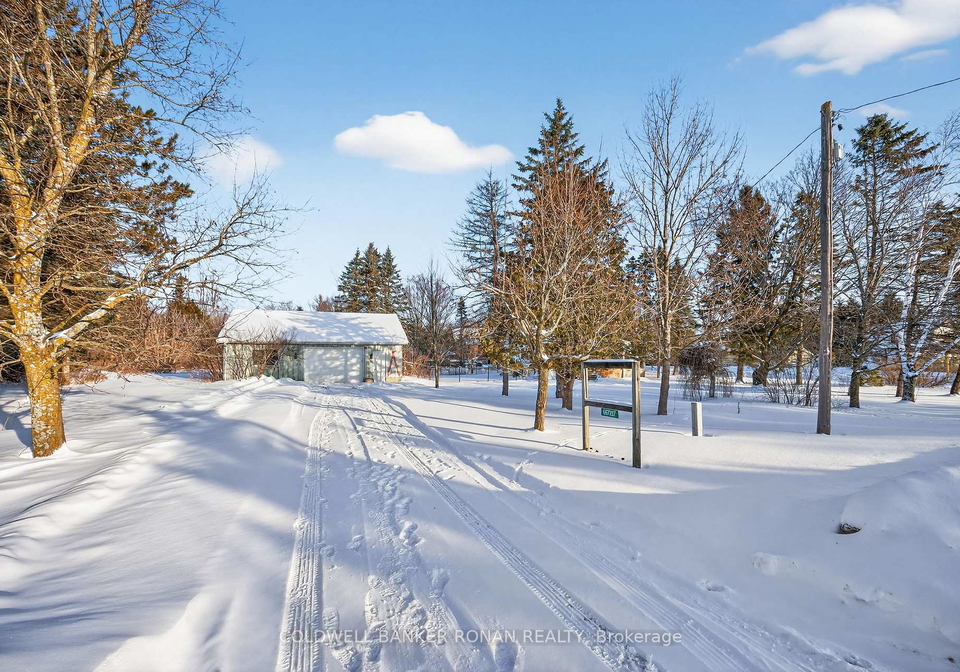 667287-20-side-road-mulmur-ontario-x12724282