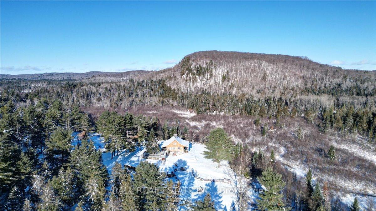 146-buck-hill-road-hastings-highlands-ontario-x12724894