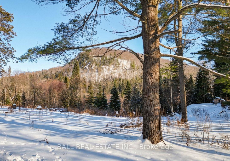 146-buck-hill-road-hastings-highlands-ontario-x12724894