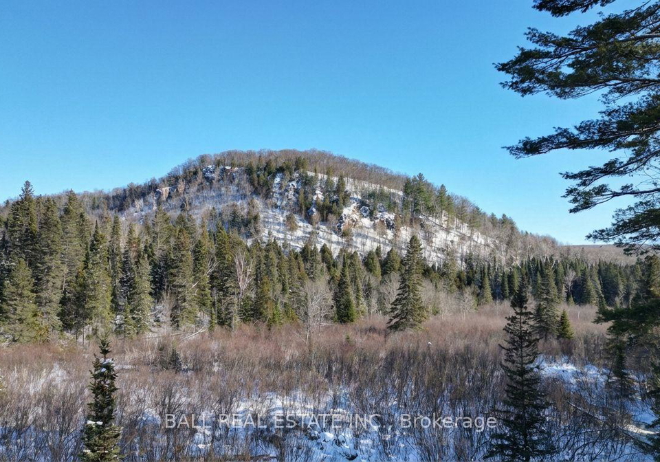 146-buck-hill-road-hastings-highlands-ontario-x12724894