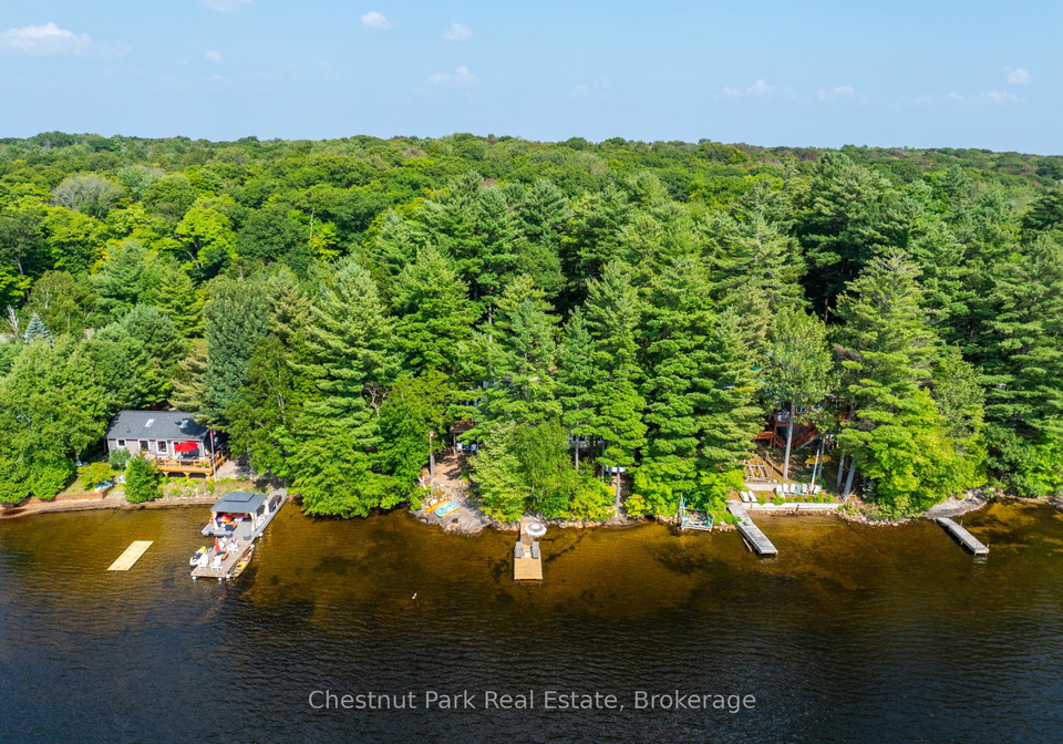 1111-buckeye-road-muskoka-lakes-ontario-x12729376