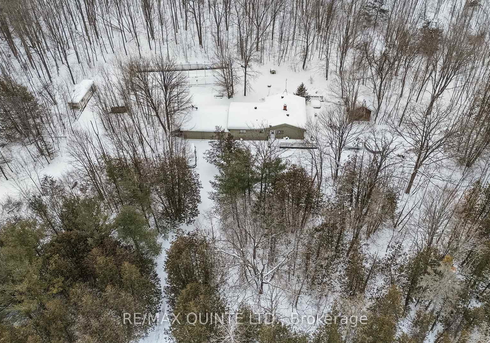 597-harold-road-stirling-rawdon-ontario-x12732802