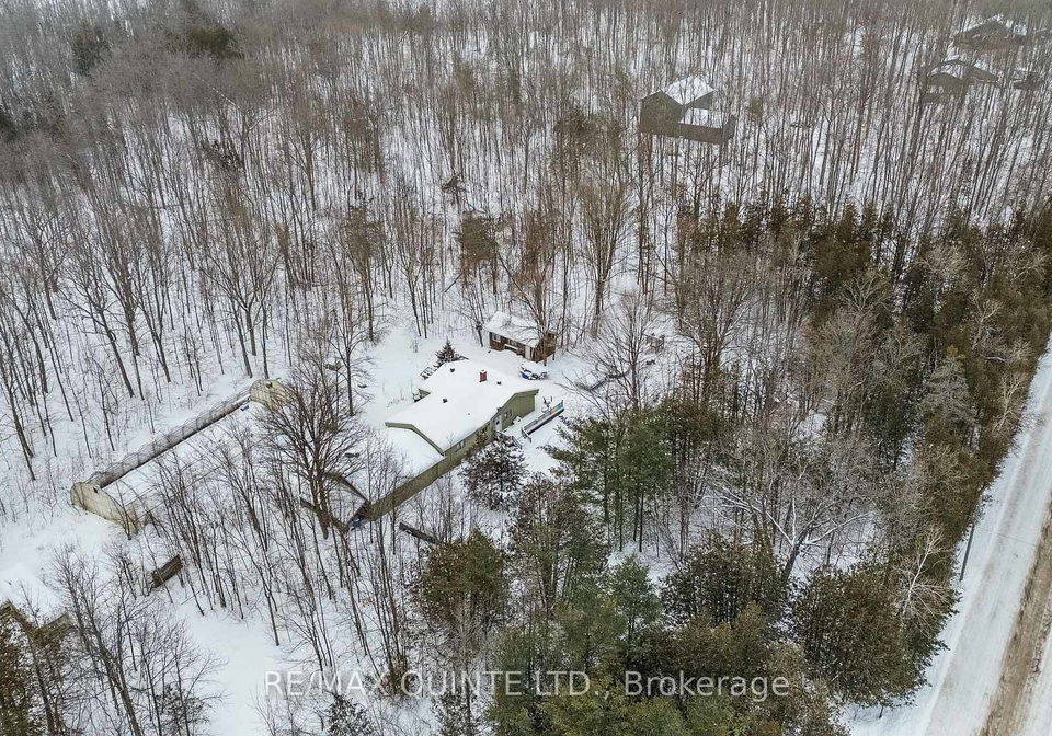 597-harold-road-stirling-rawdon-ontario-x12732802