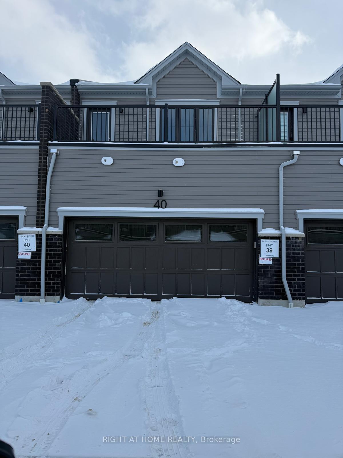 40-kingbird-common-cambridge-ontario-x12734890