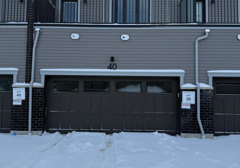 40-kingbird-common-cambridge-ontario-x12734890