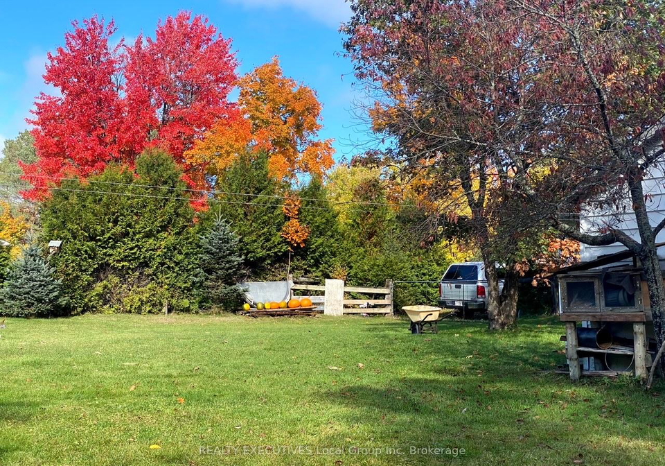 46-paget-street-sundridge-ontario-x12735308