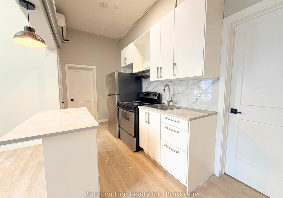 117-park-street-s-hamilton-ontario-x12738446