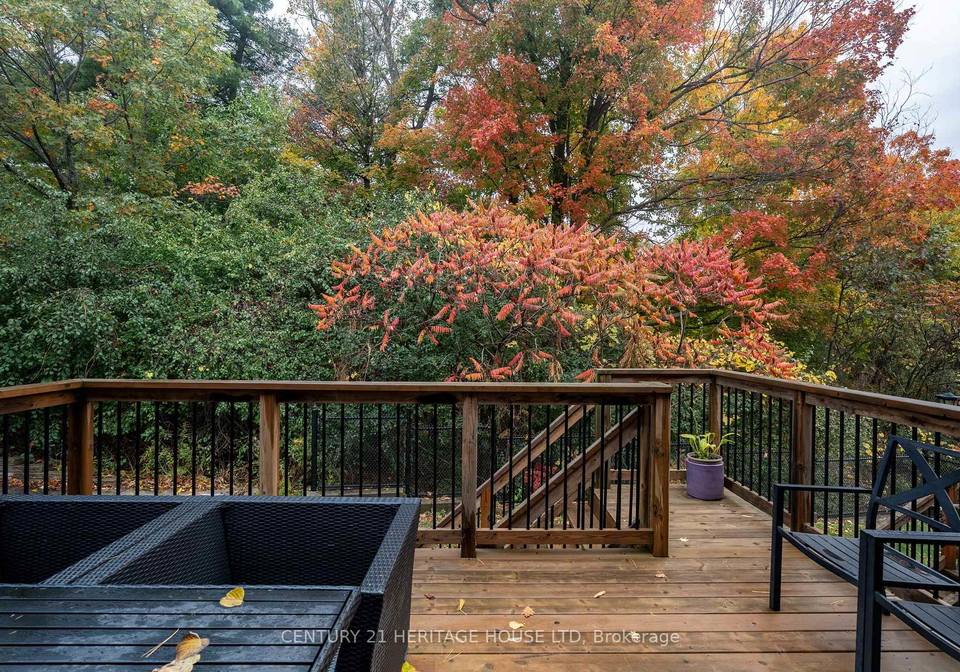 177-maitland-street-kitchener-ontario-x12738978