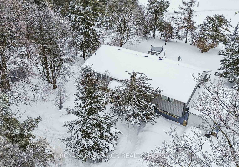 707-victoria-street-shelburne-ontario-x12739884