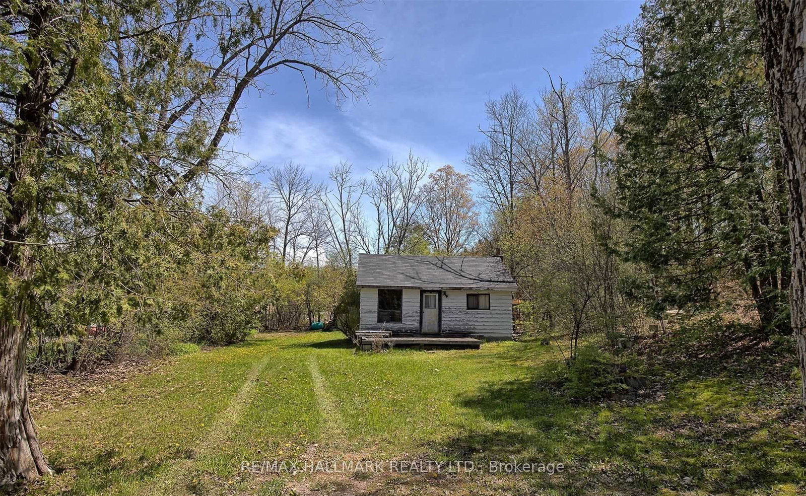 6-manchester-trail-kawartha-lakes-ontario-x12743026