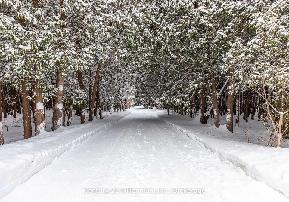 75-albert-road-kincardine-ontario-x12749398