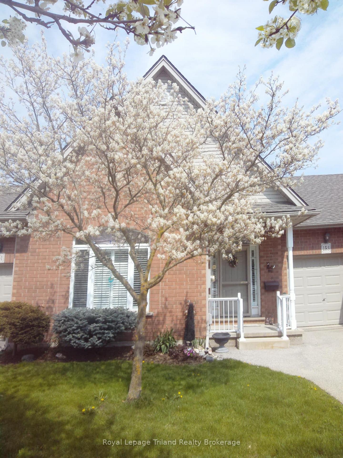 153-ferguson-drive-woodstock-ontario-x12749916