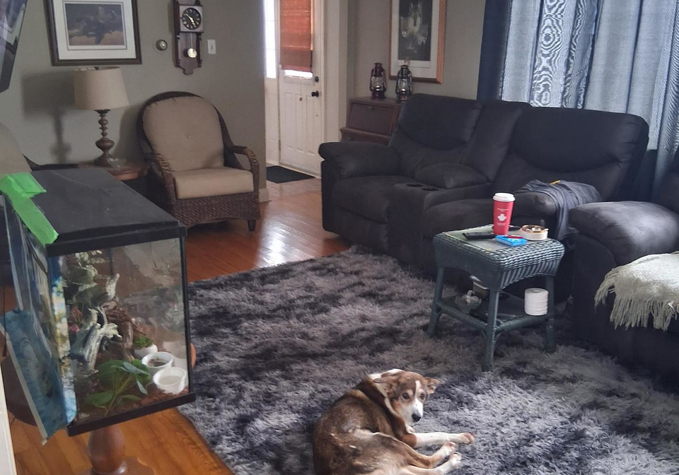 99-wallis-drive-peterborough-ontario-x12754586