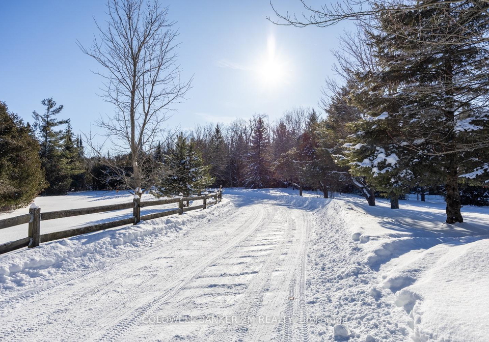 940-killarney-bay-road-kawartha-lakes-ontario-x12762472