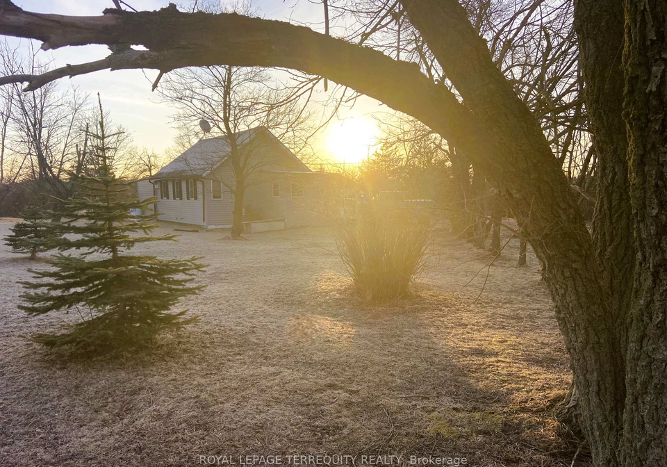 7665a-county-road-50-trent-hills-ontario-x12764706