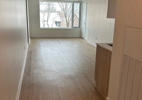 36-robinson-avenue-lower-town-sandy-hill-ottawa-ontario-x12771796