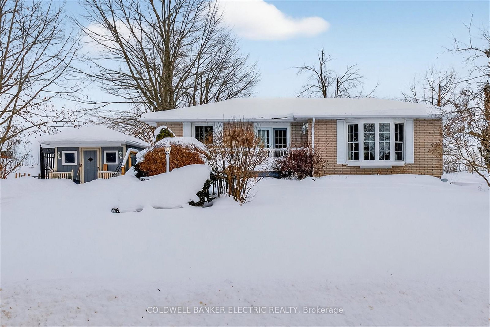 56-cedarview-drive-kawartha-lakes-ontario-x12778430