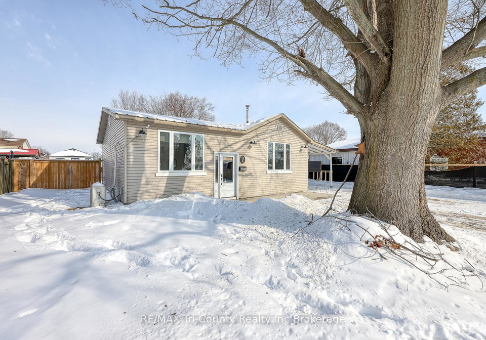53-wellington-street-bayham-ontario-x12778514