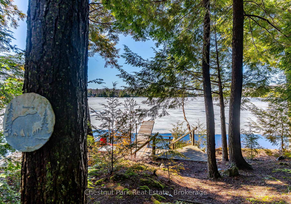 1173-watts-road-dysart-et-al-ontario-x12780112
