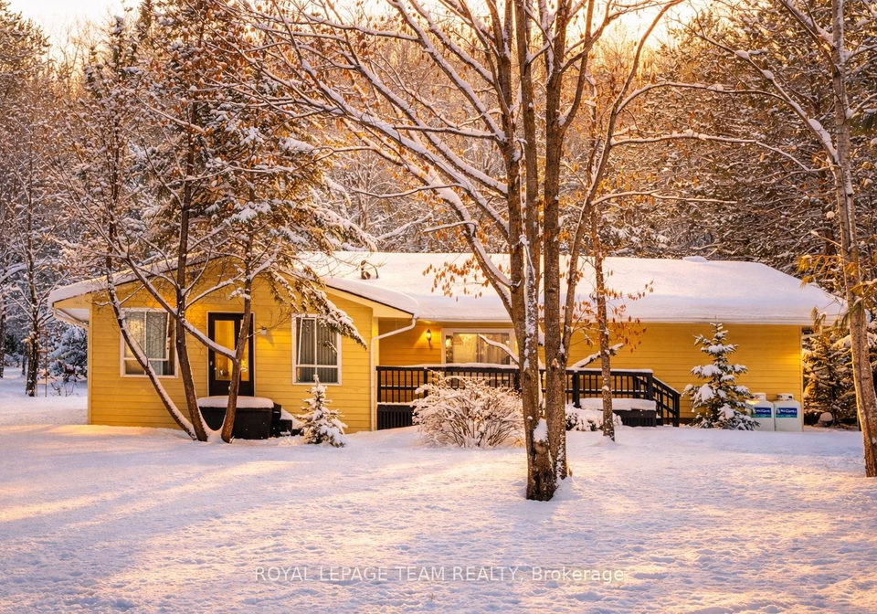 4-murchison-road-south-algonquin-ontario-x12781796