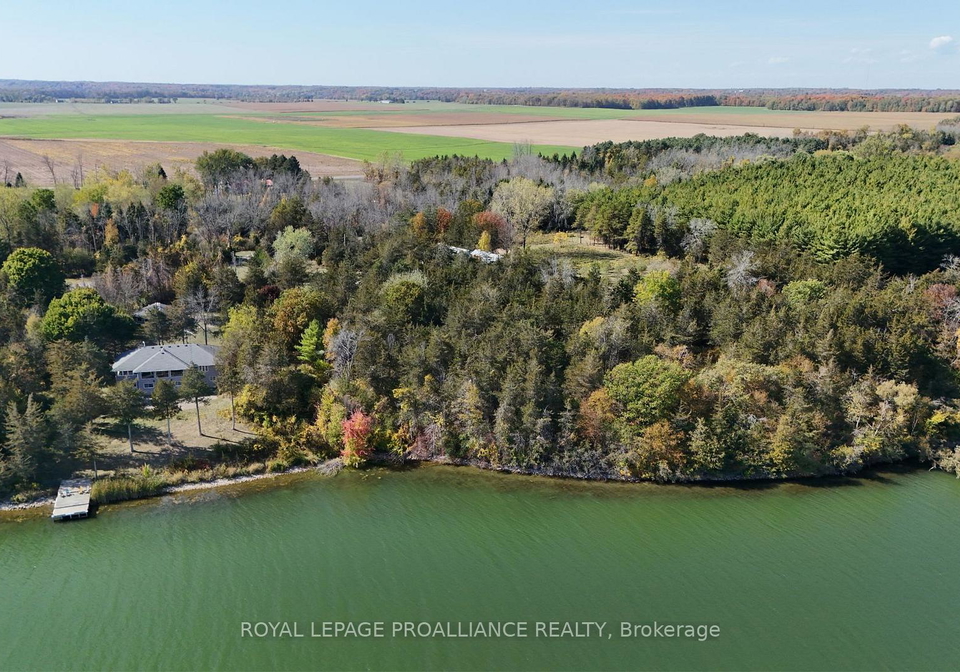 4563-county-9-road-greater-napanee-ontario-x12784822
