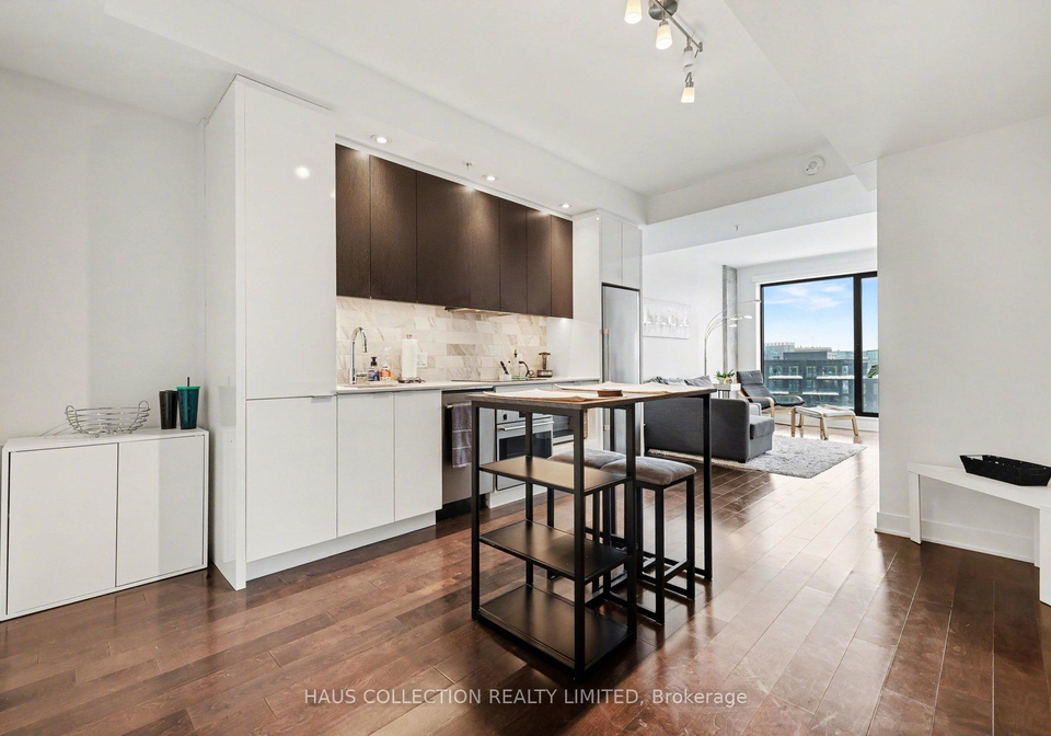 20-daly-avenue-lower-town-sandy-hill-ottawa-ontario-x12784884
