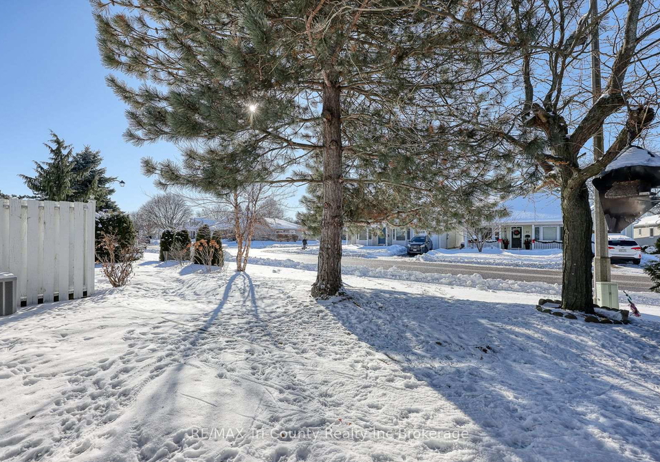 42-jackson-court-tillsonburg-ontario-x12786414