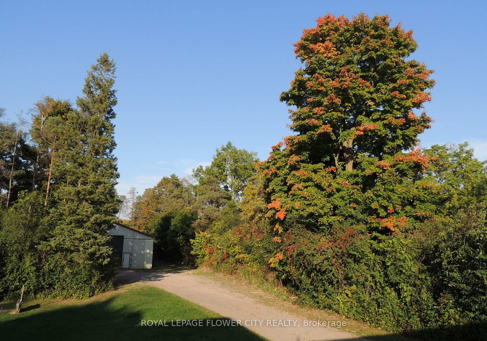 4871-wellington-road-29-guelpheramosa-ontario-x12789262