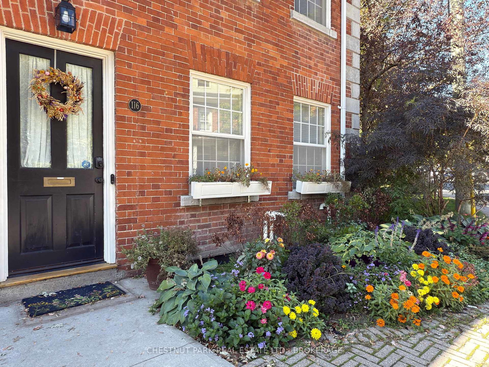 116-william-street-kingston-ontario-x12792000