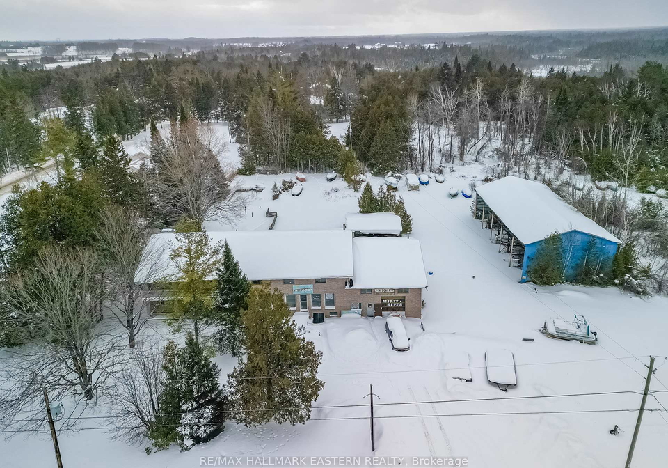 228-county-road-46-havelock-belmont-methuen-ontario-x12793556