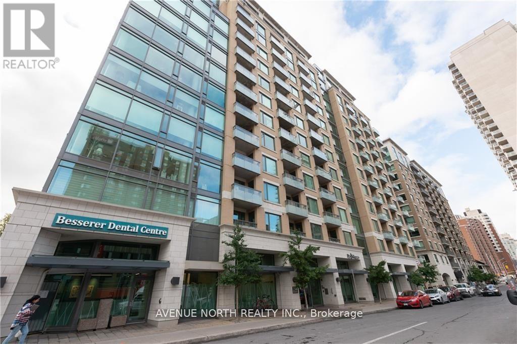 238-besserer-street-lower-town-sandy-hill-ottawa-ontario-x12798100