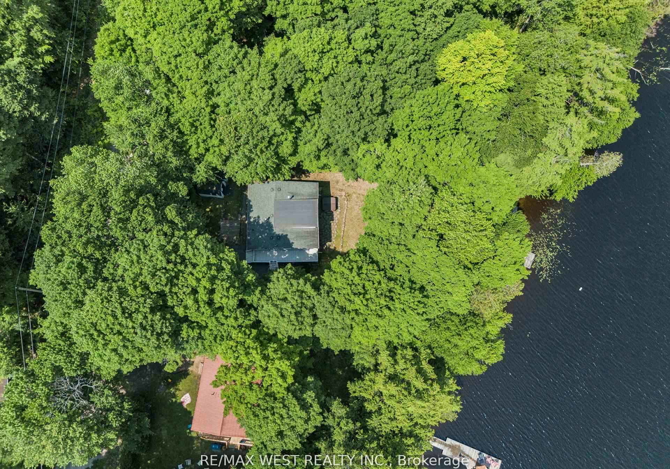 1091-mcarthur-point-road-lake-of-bays-ontario-x12801210
