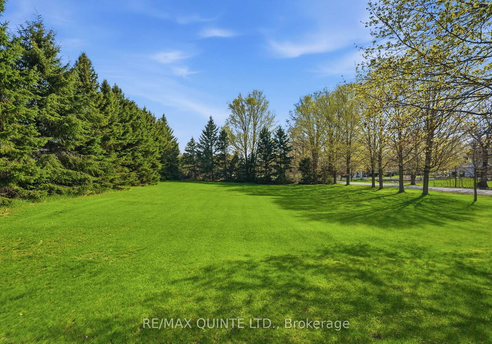 654-fish-game-club-road-quinte-west-ontario-x12801474