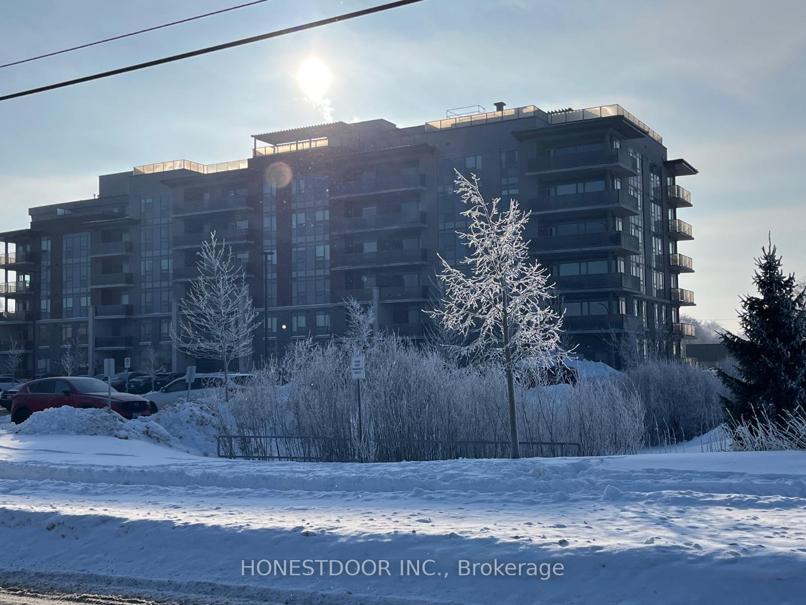 34-norman-street-brantford-ontario-x12803514