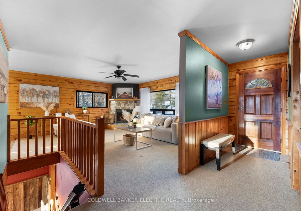 459-jack-lake-road-north-kawartha-ontario-x12803740