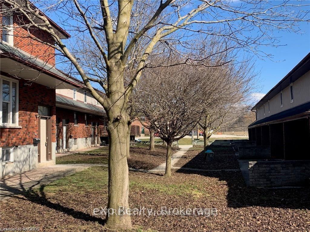 215-mcnab-street-brockton-ontario-x12808660