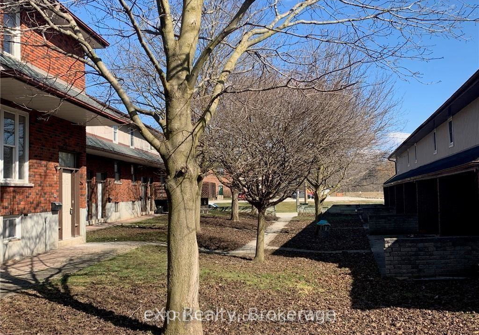 215-mcnab-street-brockton-ontario-x12808660