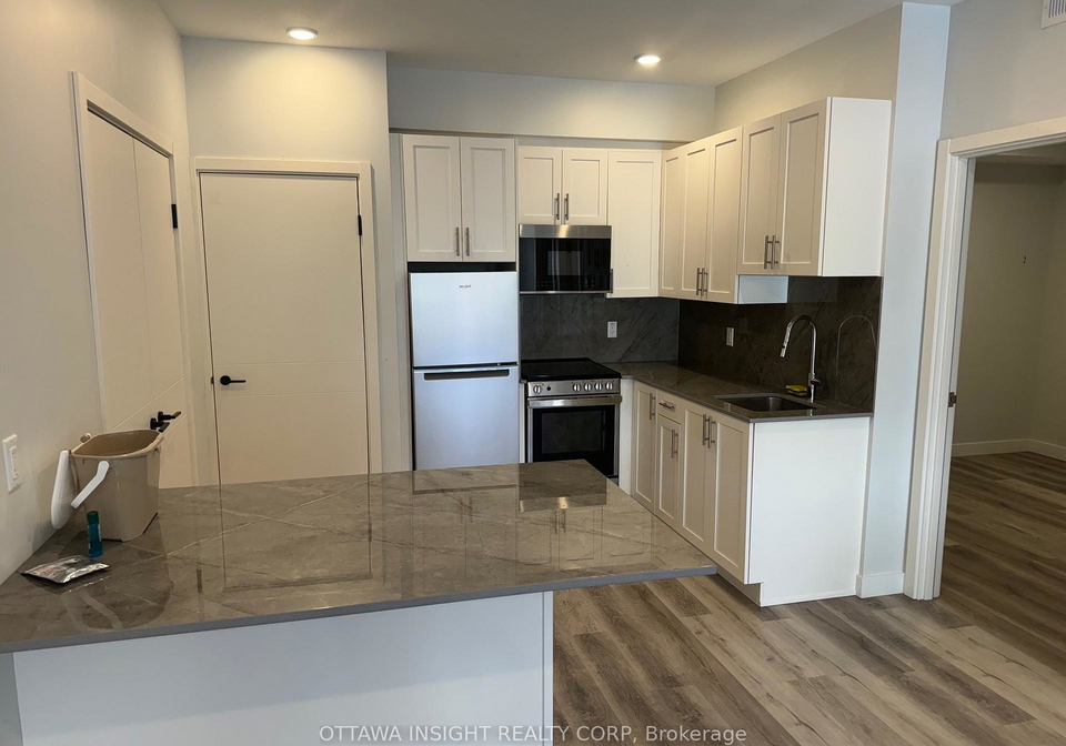 515-chapel-street-lower-town-sandy-hill-ottawa-ontario-x12809264