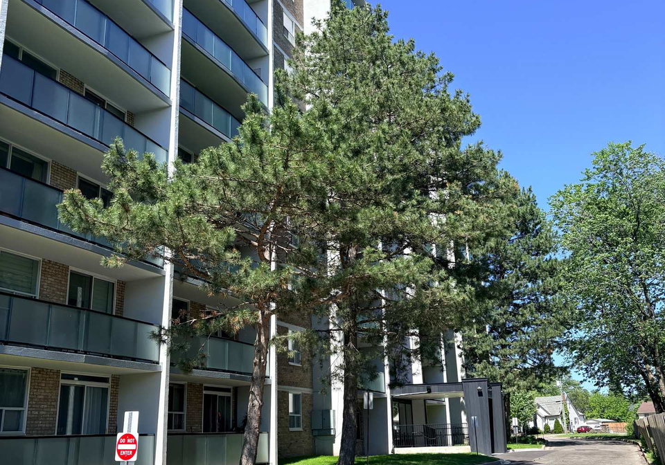 359-geneva-street-st-catharines-ontario-x12811060