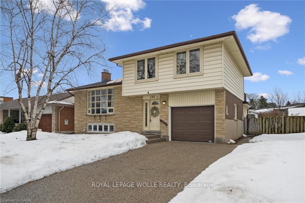 123-lorraine-avenue-kitchener-ontario-x12813550