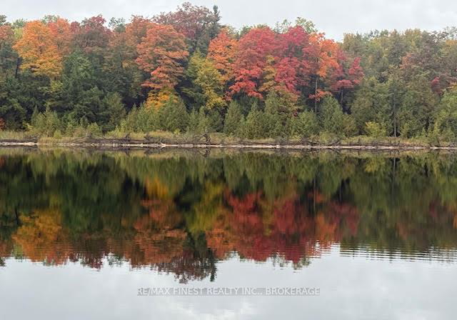 4868-battersea-road-frontenac-ontario-x12816390