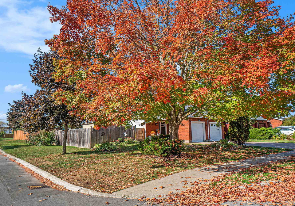 162-mississippi-road-carleton-place-ontario-x12816524