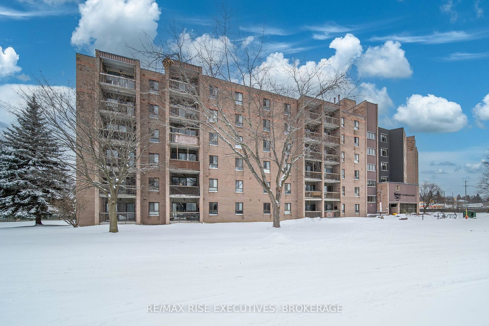 17-eldon-hall-place-kingston-ontario-x12819282