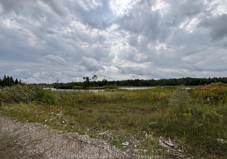 36-creek-view-road-kawartha-lakes-ontario-x12820260