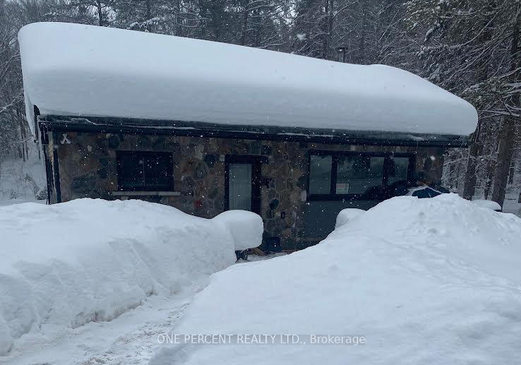 2551-yearley-road-huntsville-ontario-x12821438