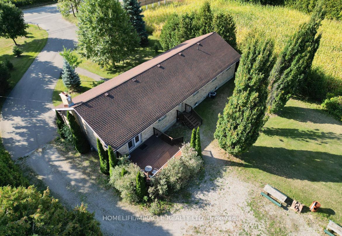 385-mount-pleasant-road-brantford-ontario-x12825268